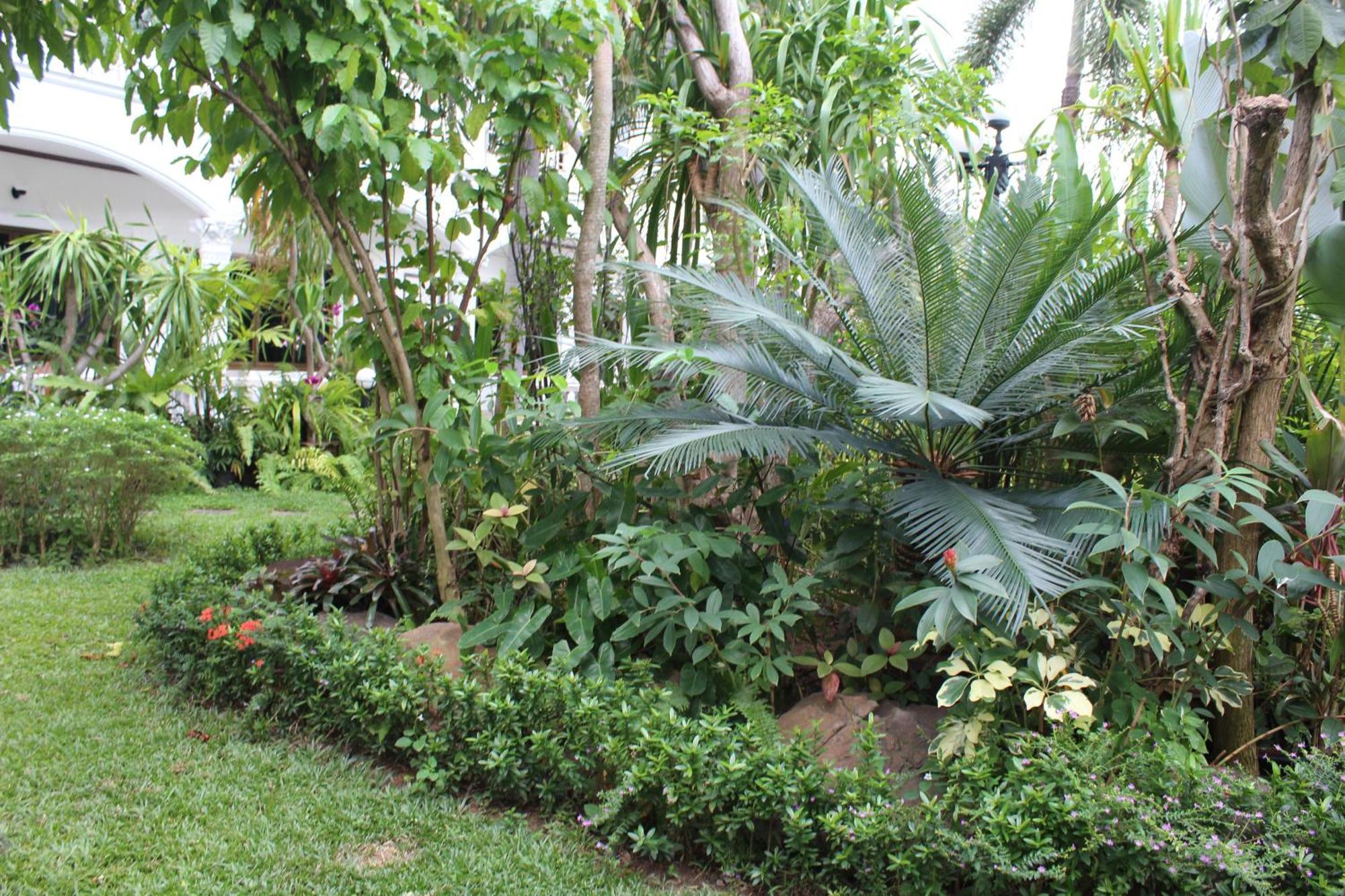 White Elephant Resort Surin Bagian luar foto