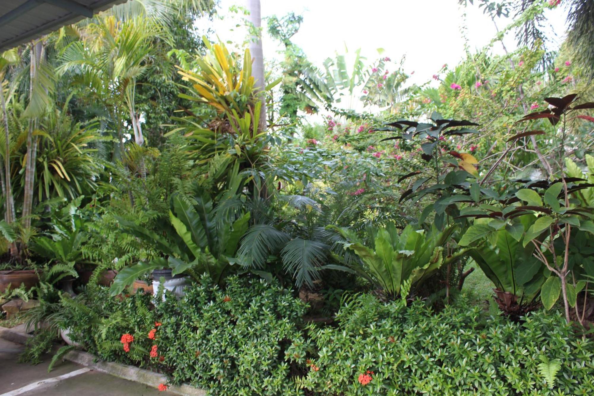 White Elephant Resort Surin Bagian luar foto