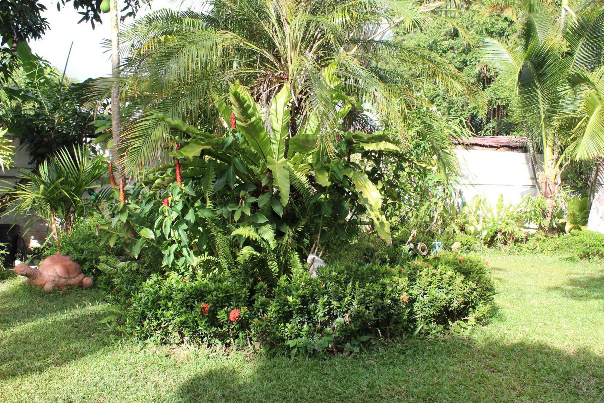 White Elephant Resort Surin Bagian luar foto