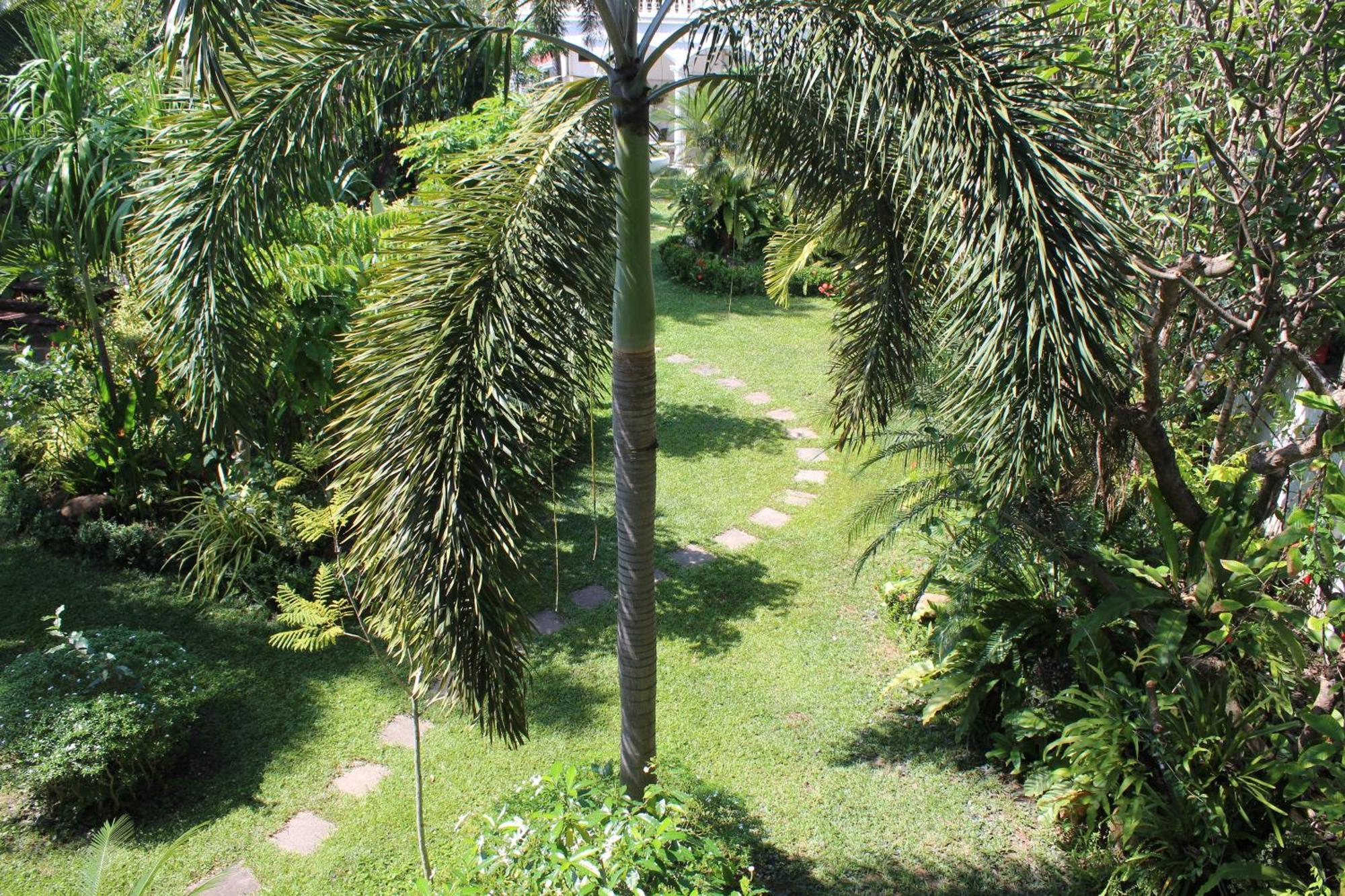 White Elephant Resort Surin Bagian luar foto