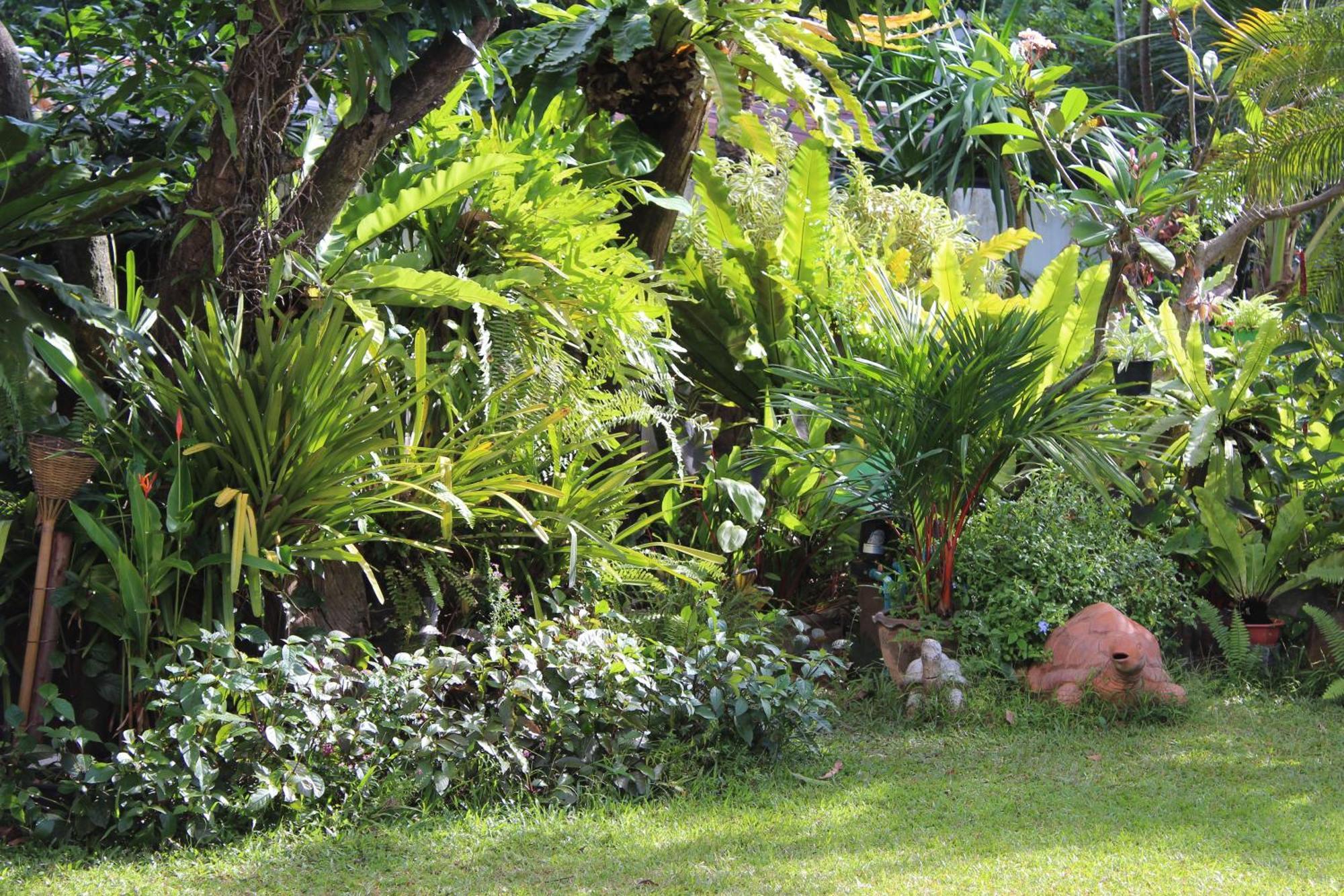 White Elephant Resort Surin Bagian luar foto