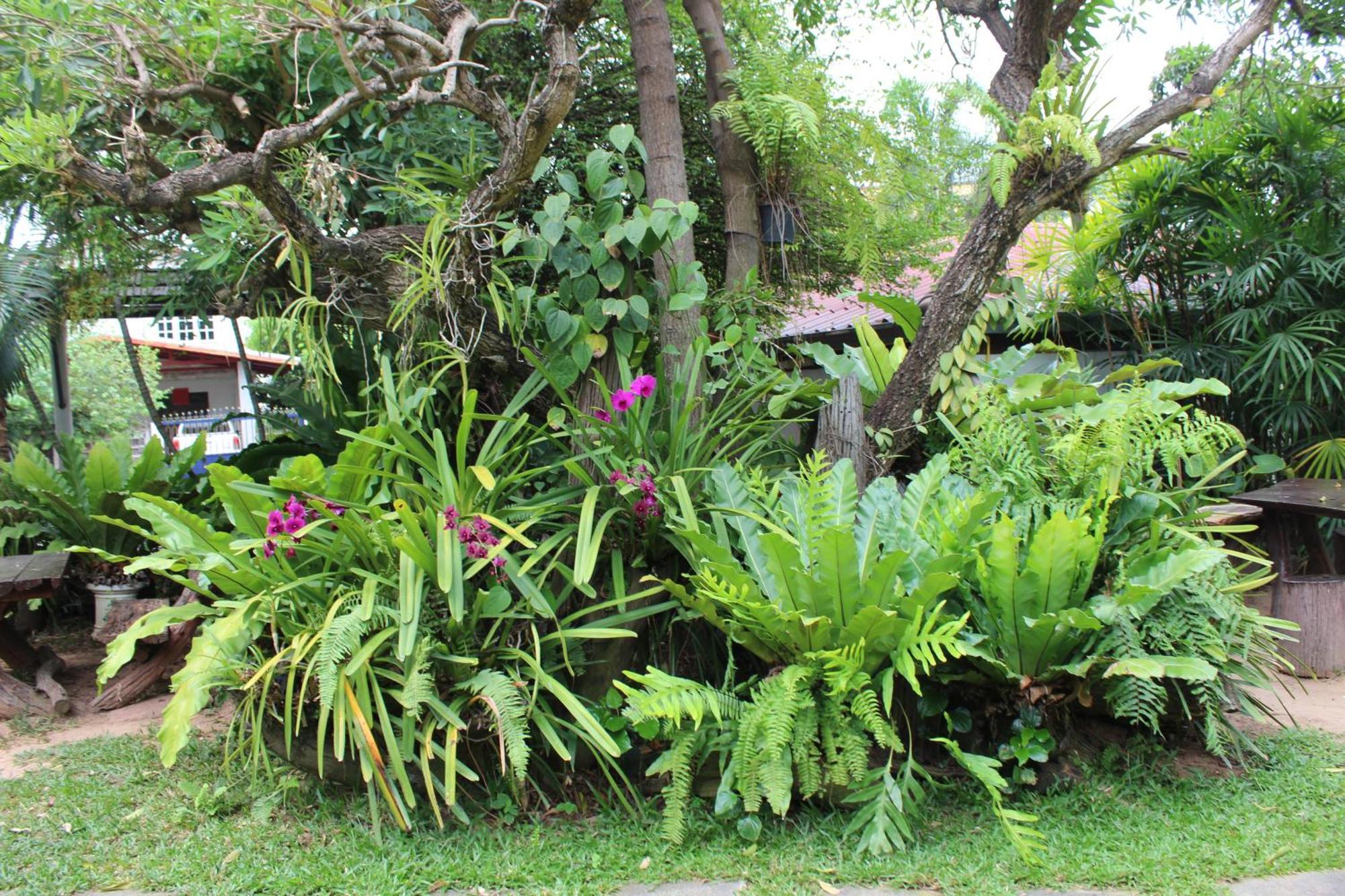White Elephant Resort Surin Bagian luar foto