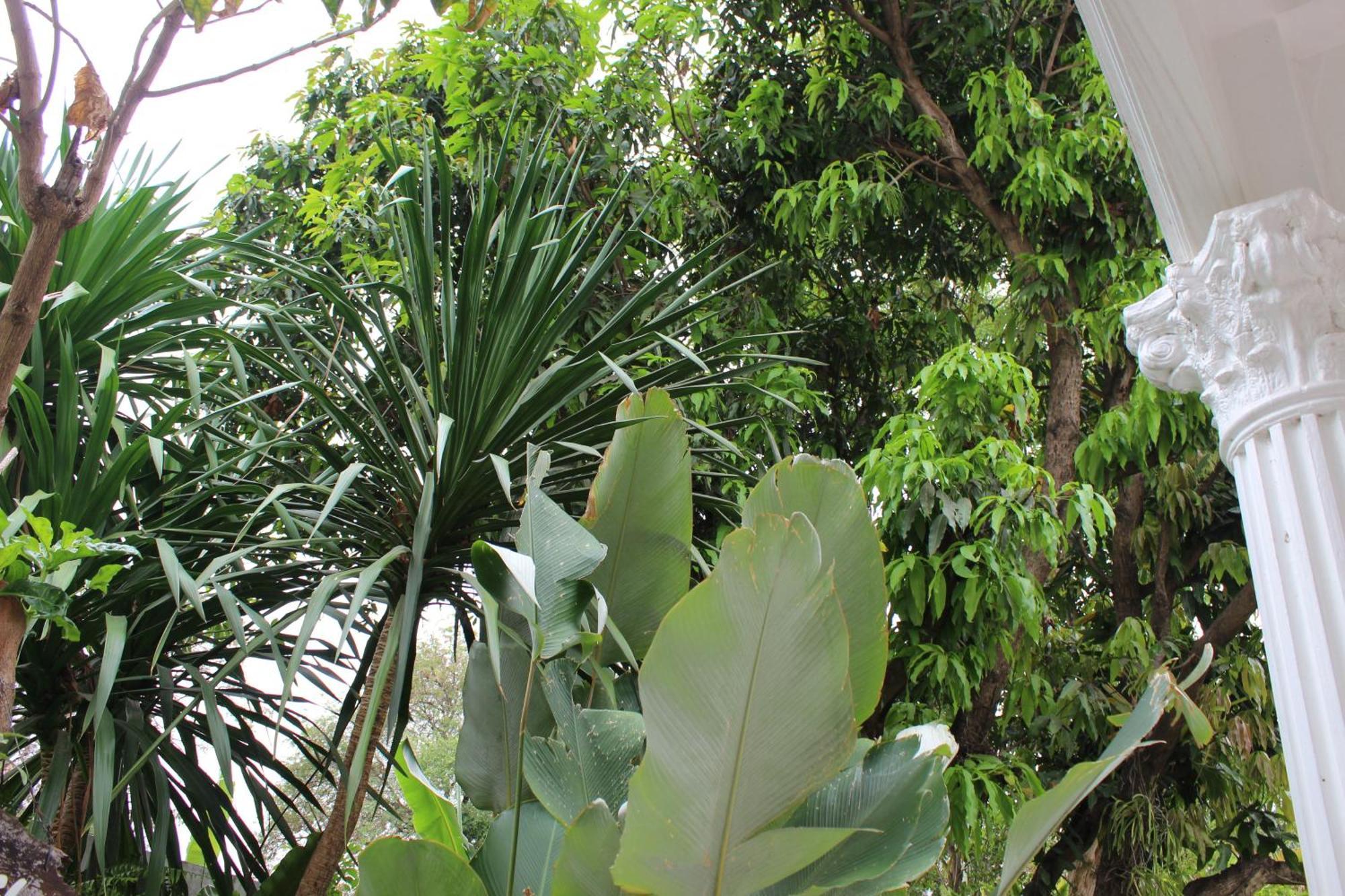 White Elephant Resort Surin Bagian luar foto